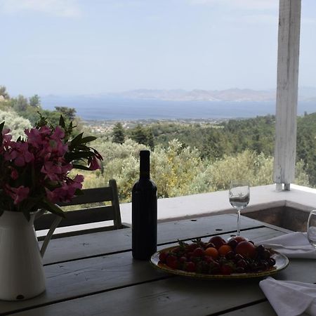 Παραδοσιακό Σπίτι Villa Asfendiou Buitenkant foto